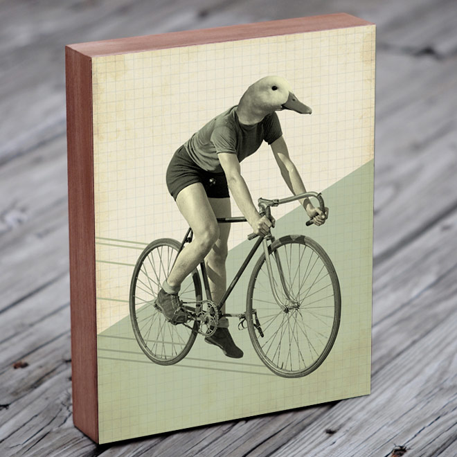 Duck Riding Bicycle
